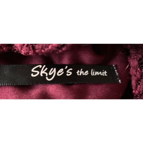 SKYE’S THE LIMIT BELOW THE KNEE TUNIC LACE DRESS, WOMENS, L, BURGANDY SLEEVELESS - Picture 9 of 11